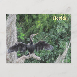 Sunlit Anhinga on a Mossy Branch – Oil‑Painting St ポストカード
