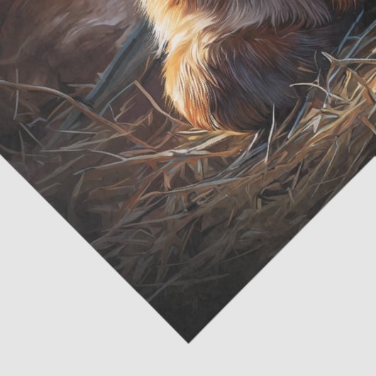 Sunlit Baby Goat Farm Portrait 薄葉紙 (詳細)