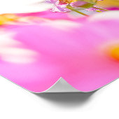 Sunlit Chorus of Pink ポスター (角)