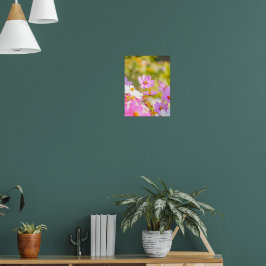 Sunlit Chorus of Pink ポスター