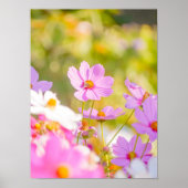 Sunlit Chorus of Pink ポスター (正面)