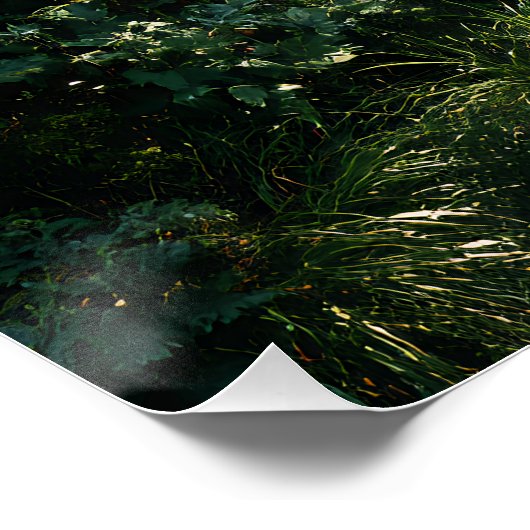 Sunlit Forest Path Through Ancient Pines ポスター (コーナー)