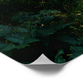 Sunlit Forest Path Through Ancient Pines ポスター (角)