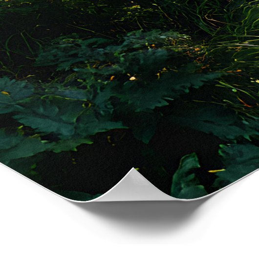 Sunlit Forest Path Through Ancient Pines ポスター (角)