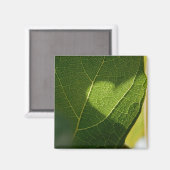 Sunlit Leaf Heart Magnet マグネット (正面/裏面)