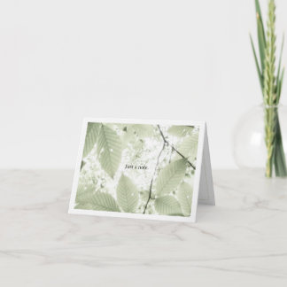 Sunlit leaves in New Hampshire (horizontal) サンキューカード