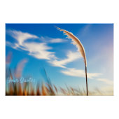 Sunlit Pampas Grass Against Deep Blue Sky ポスター (正面)