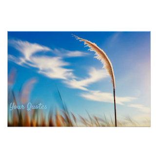 Sunlit Pampas Grass Against Deep Blue Sky ポスター