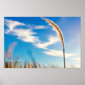 Sunlit Pampas Grass Against Deep Blue Sky ポスター (正面)