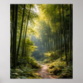 Sunlit Path Through Bamboo Forest ポスター (正面)