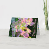 Sunlit Pink Hydrangea Happy Birthday Card カード (正面)