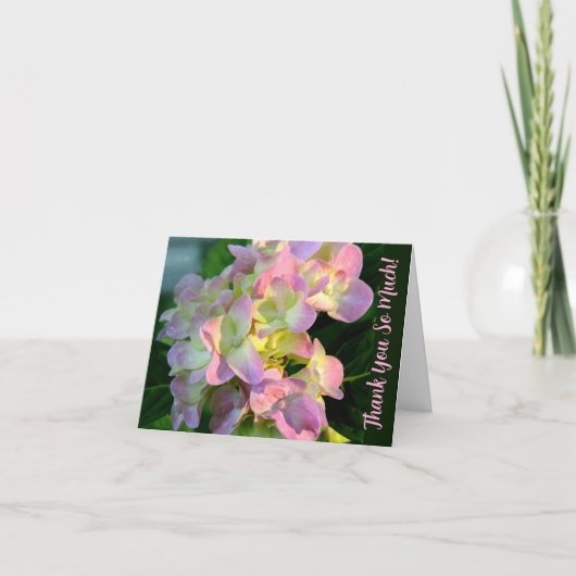 Sunlit Pink Hydrangea Thank You So Much カード (正面)