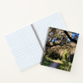 Sunlit Spanish Moss ノートブック (内部)