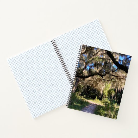 Sunlit Spanish Moss ノートブック (内部)
