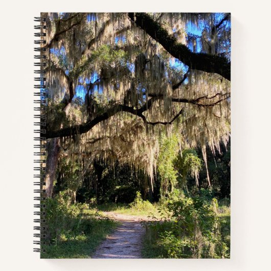 Sunlit Spanish Moss ノートブック (正面)