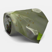 Sunlit White Azaleas Beautiful Spring Flowers ネクタイ (ロール)