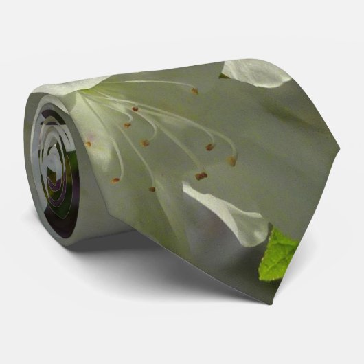 Sunlit White Azaleas Beautiful Spring Flowers ネクタイ (ロール)