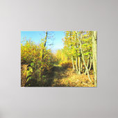 Sunlit Woods in Autumn - キャンバスプリント (正面)