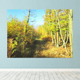 Sunlit Woods in Autumn - キャンバスプリント
