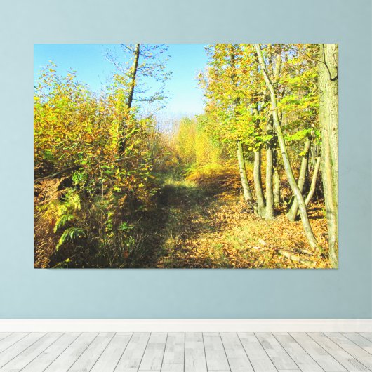 Sunlit Woods in Autumn - キャンバスプリント (インサイチュ (ウッドフロア))