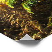 Sunlit Woods in Autumn - Personalised ポスター (角)