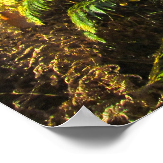 Sunlit Woods in Autumn - Personalised ポスター (角)