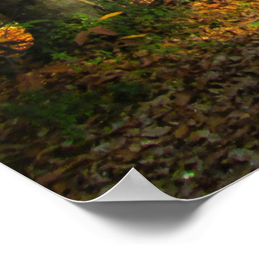 Sunny Autumn Forest - Personalised ポスター (角)