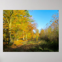 Sunny Autumn Forest - Personalised ポスター