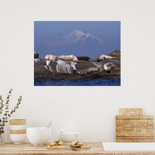 Sunny Days Are Here Again - Fine Art Prints ポスター (キッチン)