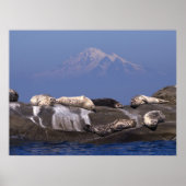 Sunny Days Are Here Again - Fine Art Prints ポスター (正面)