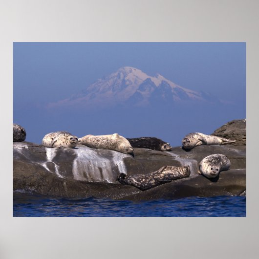 Sunny Days Are Here Again - Fine Art Prints ポスター (正面)