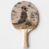 "Sunny Days: Baby Meerkat's Beach Adventure" 卓球ラケット (正面)