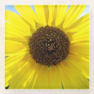 Sunny Daze plastic drink coaster ガラスコースター