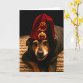 Sunny in a Fez – グリーティングカード(内空白の側) カード (黄色い花)