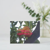 SUNny Light'Bulbs – ポストカード：3 ポストカード (スタンド正面)