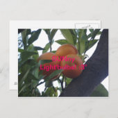 SUNny Light'Bulbs – ポストカード：3 ポストカード (正面/裏面)