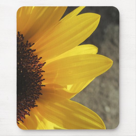 Sunny Sunflower Closeup Mouse Pad マウスパッド (正面)