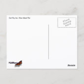 Sunrise at St. Mary Lake II ポストカード (裏面)