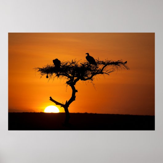 Sunrise at the Masai Mara, Kenya ポスター (正面)