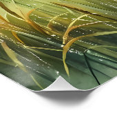 Sunrise Church with Birds in Misty Meadow No Verse ポスター (コーナー)