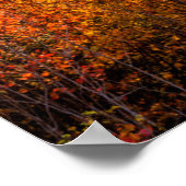 Sunrise Kancamagus Highway Overlook New Hampshire ポスター (角)