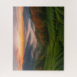 Sunrise over Mountain Tea Fields in Japan ジグソーパズル