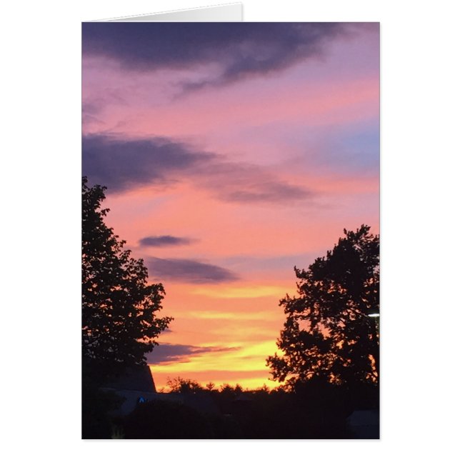 SunSet 1 (正面)