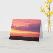 Sunset 2004写真:Mark Edward Westerfield カード (黄色い花)