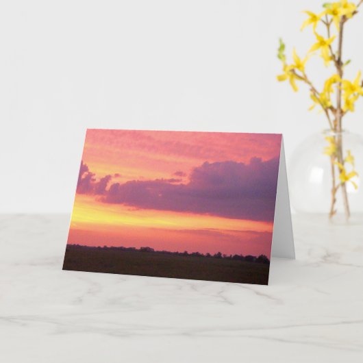 Sunset 2004写真：Mark Edward Westerfield カード (黄色い花)