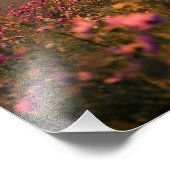 Sunset and cosmos フォトプリント            (角)