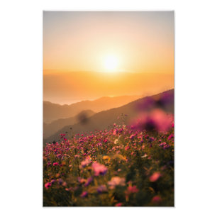 Sunset and cosmos フォトプリント