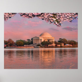 Sunset at Jeferson Memorial with Cherry Blossoms ポスター