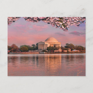 Sunset at Jeferson Memorial with Cherry Blossoms ポストカード
