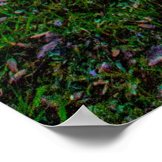 Sunset at Lake Zobel, George LeStrange Preserve ポスター (角)